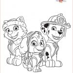 Coloriage Paw Patrol Luxe Pin By Dean Mary Pettit On Coloring