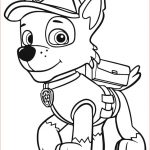 Coloriage Paw Patrol Nice Index Of Images Coloriage Paw Patrol
