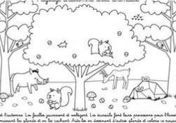 Coloriage Paysage Nice Coloriage Paysage Automne Ohbqfo