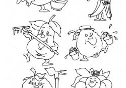 Coloriage Potager Unique Résultat De Recherche D Images Pour &quot;dessin De Fruit Et