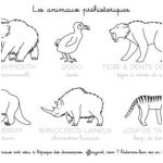 Coloriage Prehistoire Nouveau Kit Anniversaire Dinosaures