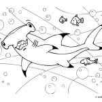 Coloriage Requin Marteau Génial Coloriage De Requin Marteau Requin Marteau Coloriage