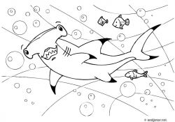 Coloriage Requin Marteau Génial Coloriage De Requin Marteau Requin Marteau Coloriage