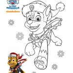 Coloriage Rocky Pat Patrouille Inspiration 85 Best Images About Paw Patrol On Pinterest