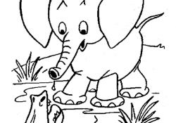 Coloriage Savane Unique 95 Dessins De Coloriage Animaux De La Savane à Imprimer