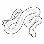 Coloriage Serpent Nouveau Serpent 18 Animaux – Coloriages à Imprimer