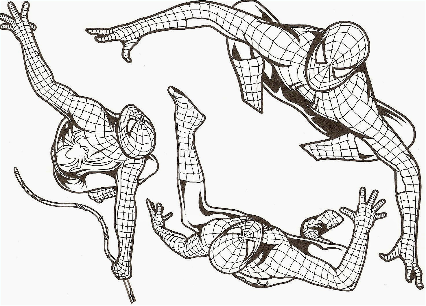 Coloriage Spiderman A Imprimer Génial Spiderman Coloriage Gratuit Imprimer