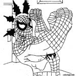 Coloriage Spiderman Moto Luxe Jeux De Coloriage Spiderman Gratuit En Ligne