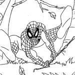 Coloriage Spiderman Unique Coloriage Enfant Spiderman