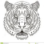 Coloriage Tigre Mandala Frais Tiger Head Zentangle Stylized Vector Illustration