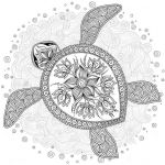 Coloriage Tortue Mandala Unique Turtle Mania