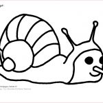 Escargot Coloriage Élégant Coloriage Escargot A Imprimer Gratuit