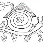 Escargot Coloriage Inspiration Coloriage Escargot Dans Son Habitat Naturel Jecolorie
