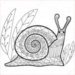 Escargot Coloriage Meilleur De Adulte Mignon Escargot Coloriage Livre — Image Vectorielle