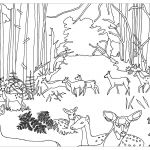 Foret Coloriage Nice Foret Coloriage Einzigartig Coloriages Foret Einzigartig