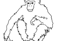 Gorille Coloriage Frais Sélection De Coloriage Gorille à Imprimer Sur Laguerche