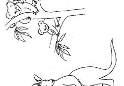 Koala Coloriage Élégant 45 Dessins De Coloriage Koala à Imprimer