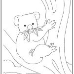 Koala Coloriage Élégant Coloriages Animaux Du Monde Le Koala