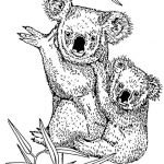 Koala Coloriage Unique Coloriage Koala Et Son Petit Au Crayon Dessin Gratuit à