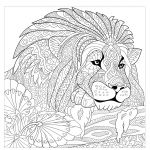 Lion Coloriage Luxe Inspiration Coloriage A Imprimer Roi Lion
