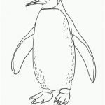 Pingouin Coloriage Nouveau Dessin Pingouin Gratuit Imprimer