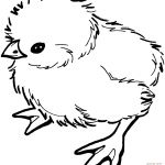 Poussin Coloriage Élégant Baby Chick Coloring Page
