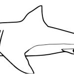 Requin Coloriage Élégant Requin 39 Animaux – Coloriages à Imprimer