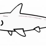 Requin Coloriage Génial Requin 118 Animaux – Coloriages à Imprimer