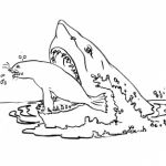 Requin Coloriage Nice Coloriage Requin 6 Coloriage Requins Coloriage Animaux