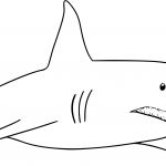 Requin Coloriage Nouveau Coloriage De Requin à Imprimer Sur Coloriage De
