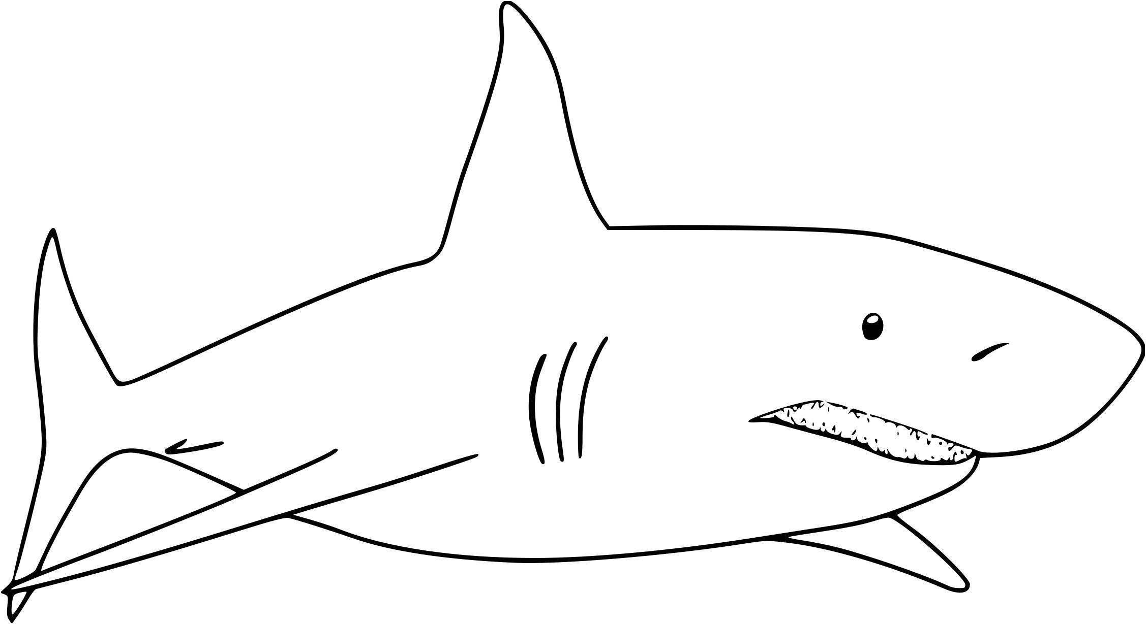 14 Aimable Requin Coloriage Images  COLORIAGE