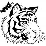 Tigre Coloriage Génial Dessins À Colorier Coloriage Tigre à Imprimer
