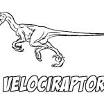 Velociraptor Coloriage Frais Velociraptor Coloring Pages Best Coloring Pages For Kids