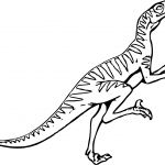 Velociraptor Coloriage Génial Coloriage Vélociraptor à Imprimer