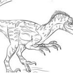 Velociraptor Coloriage Meilleur De Coloriage Dinosaure Velociraptor Coloriage Indominus Rex