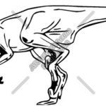 Velociraptor Coloriage Nouveau Coloriages à Imprimer Vélociraptor Numéro