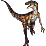 Velociraptor Coloriage Unique Coloriage Dinosaure Velociraptor à Imprimer