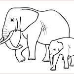 Coloriage Animaux De La Savane Génial éléphant Coloriages Elephants Coloriages Animaux
