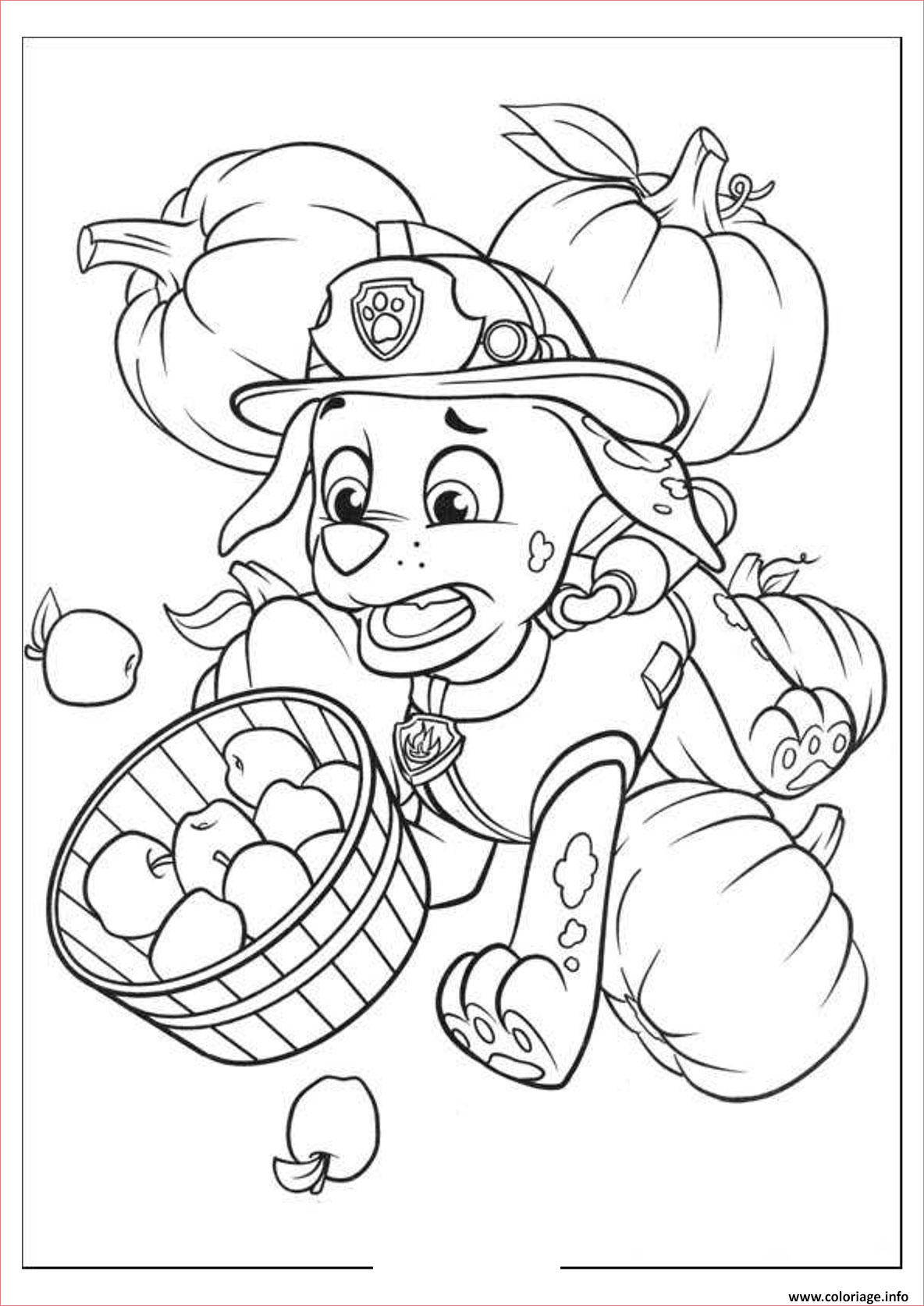 Pat Patrouille Coloriage Luxe Super Wings Coloring Pages Sketch Coloring Page