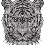 Coloriage Anti Stress Animaux Luxe Coloriage Adulte Animal Tigre Difficile Antistress