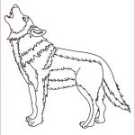 Coloriage Loup Nice Howling Wolf Coloring Pages Hellokids