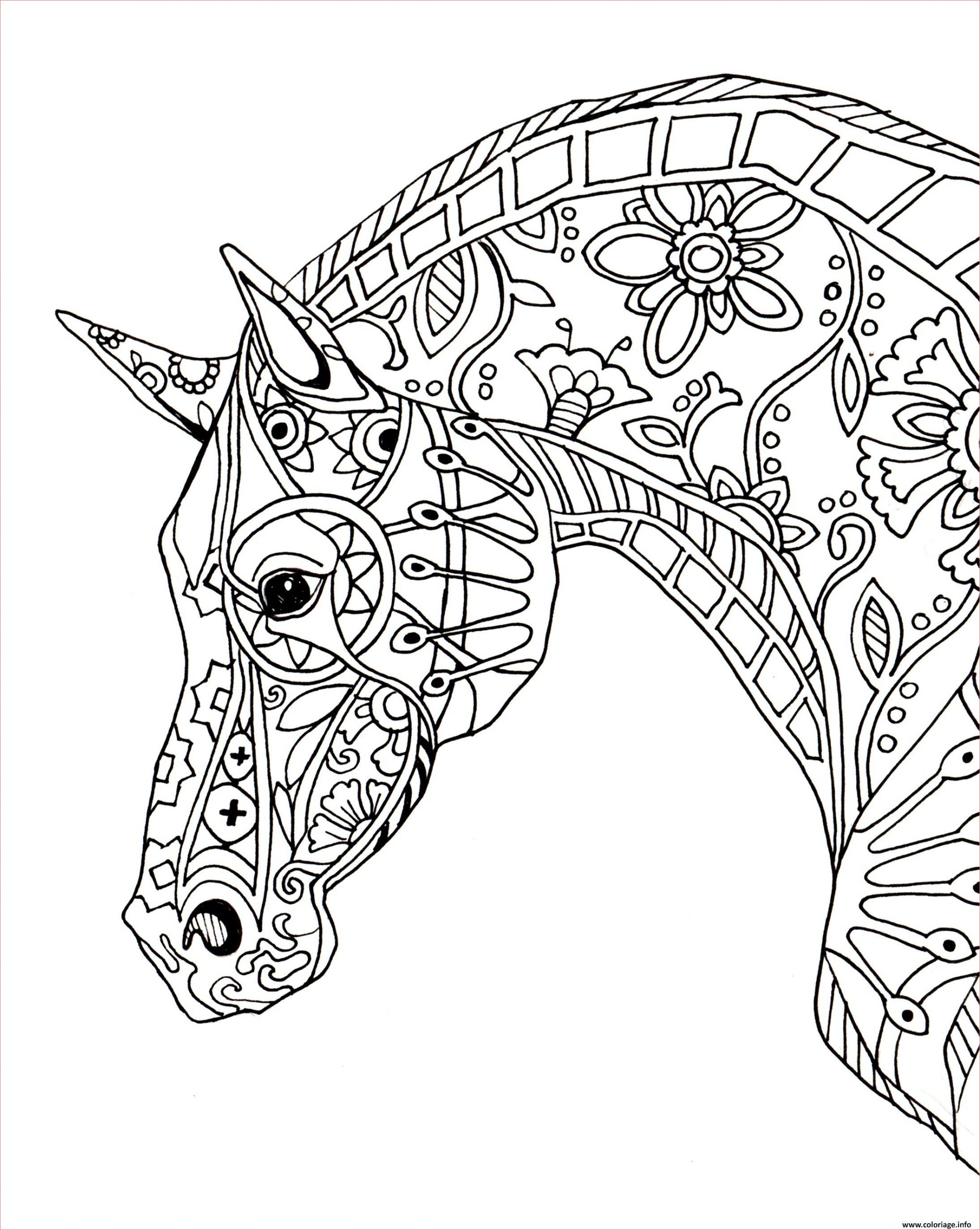 Coloriage Chevaux À Imprimer Meilleur De Coloriage Cheval Adulte Decorative Horse Profile Dessin
