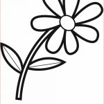 Coloriage Fleur À Imprimer Nice Kostenlose Malvorlage Natur Blume Zum Ausmalen