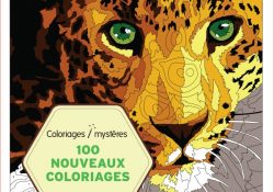 Coloriage Mystère Nouveau 100 Nouveaux Coloriages Mystères