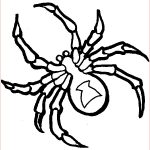 Coloriage Araignée Nice Araignée 20 Animaux – Coloriages à Imprimer