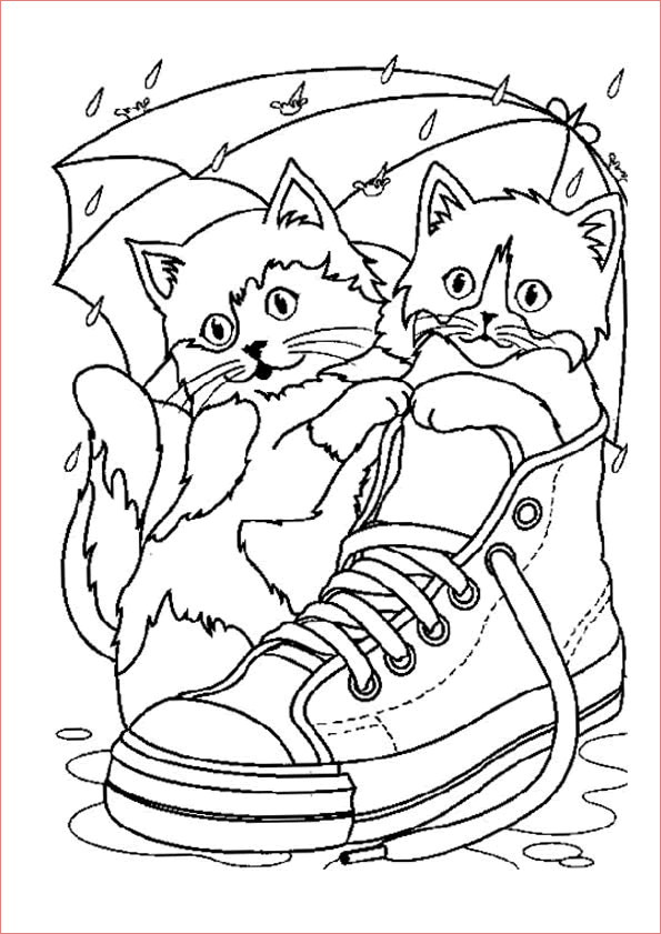 Coloriage Chaton Génial Cat to Kittens In A Shoe Cats Kids Coloring Pages