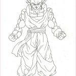 Coloriage Dragon Ball Super Luxe Beerus Dragon Ball Z Coloring Pages Lord Sketch Coloring Page