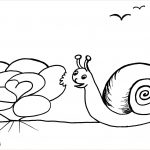 Coloriage Escargot Nice Inspirant Escargot Image Coloriage – Mademoiselleosaki