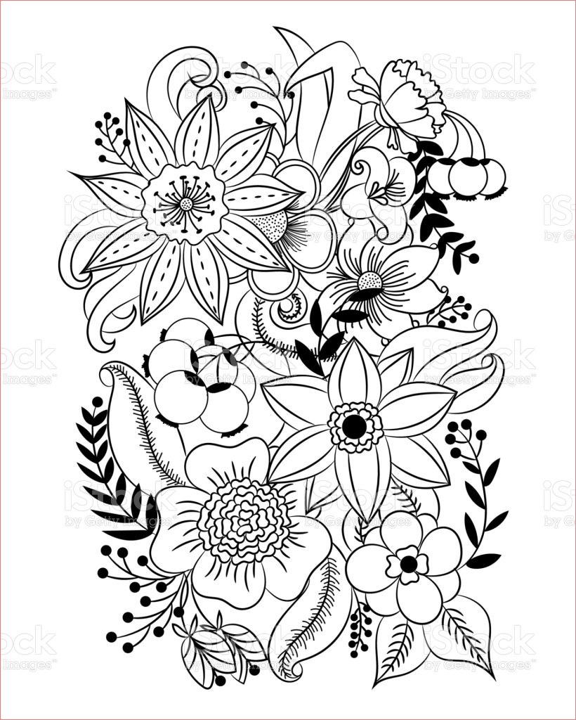 Coloriage Fleur Adulte Frais Coloriage Fleurs Et Feuilles Vecteurs Libres De Droits Et