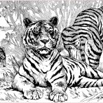 Coloriage Tigre Nouveau Free Tiger Coloring Pages